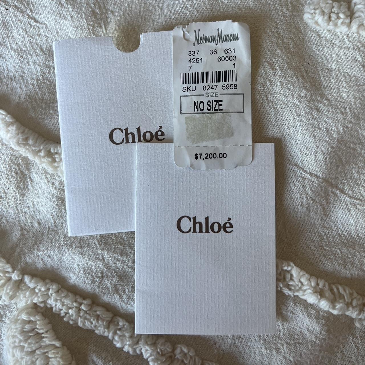 Very Rare Authentic Limited Edition Silver Lizard Chloé Paddington Bag – Silver Hardware